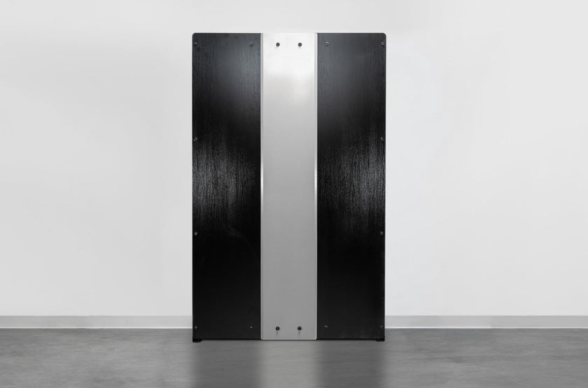 Wall-Mounted F9 Fold-Away Functional Trainer