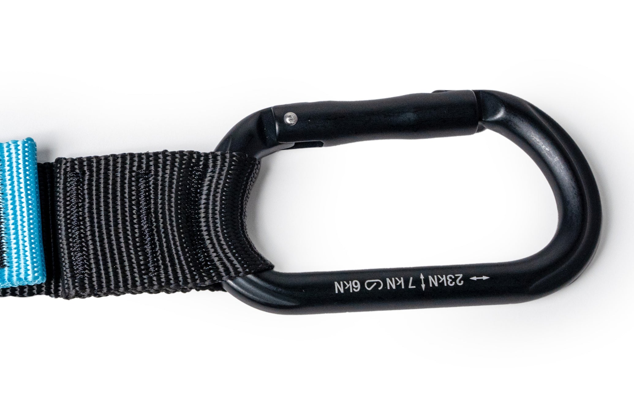 Blue Pro Suspension Straps