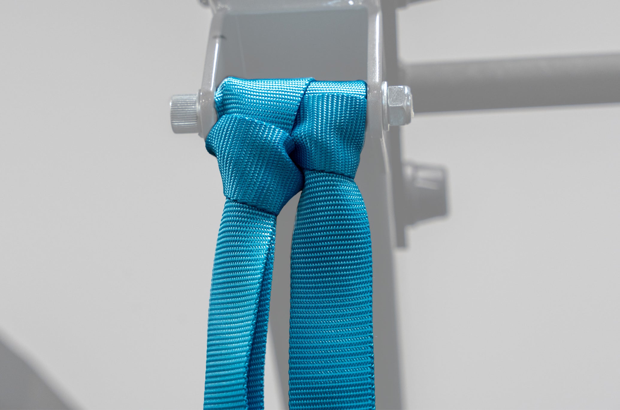 Blue Pro Suspension Straps