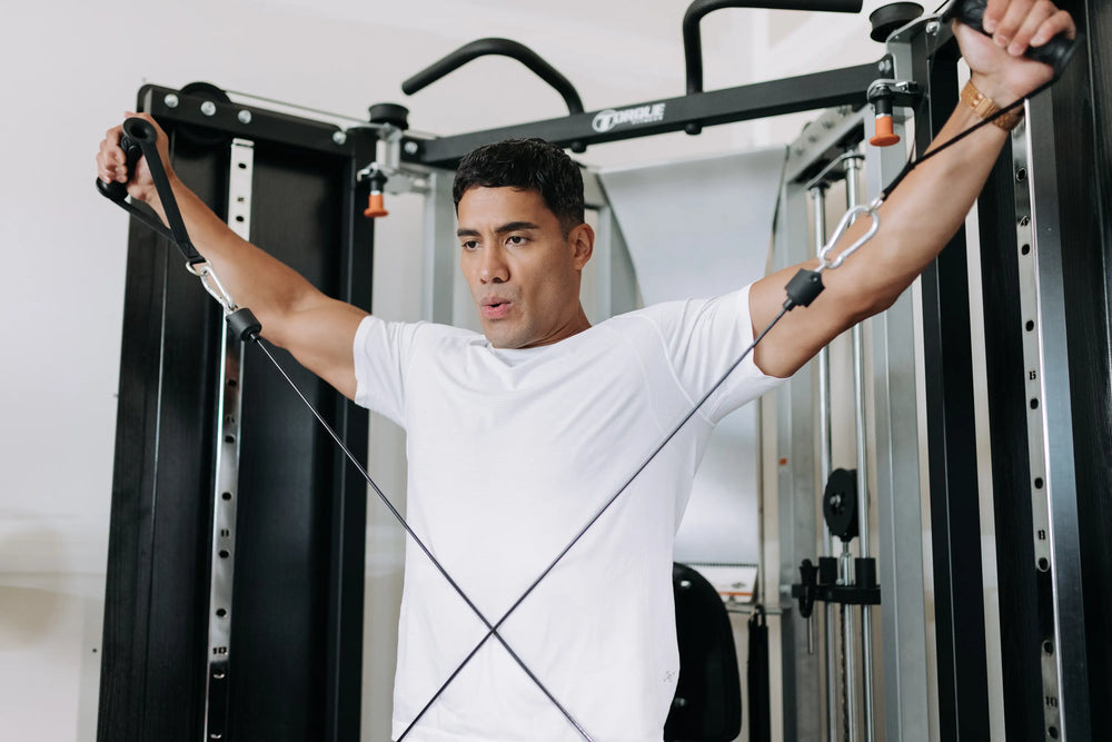 Home Gym Fold Up Adjustable Weight Racks Torque Fitness