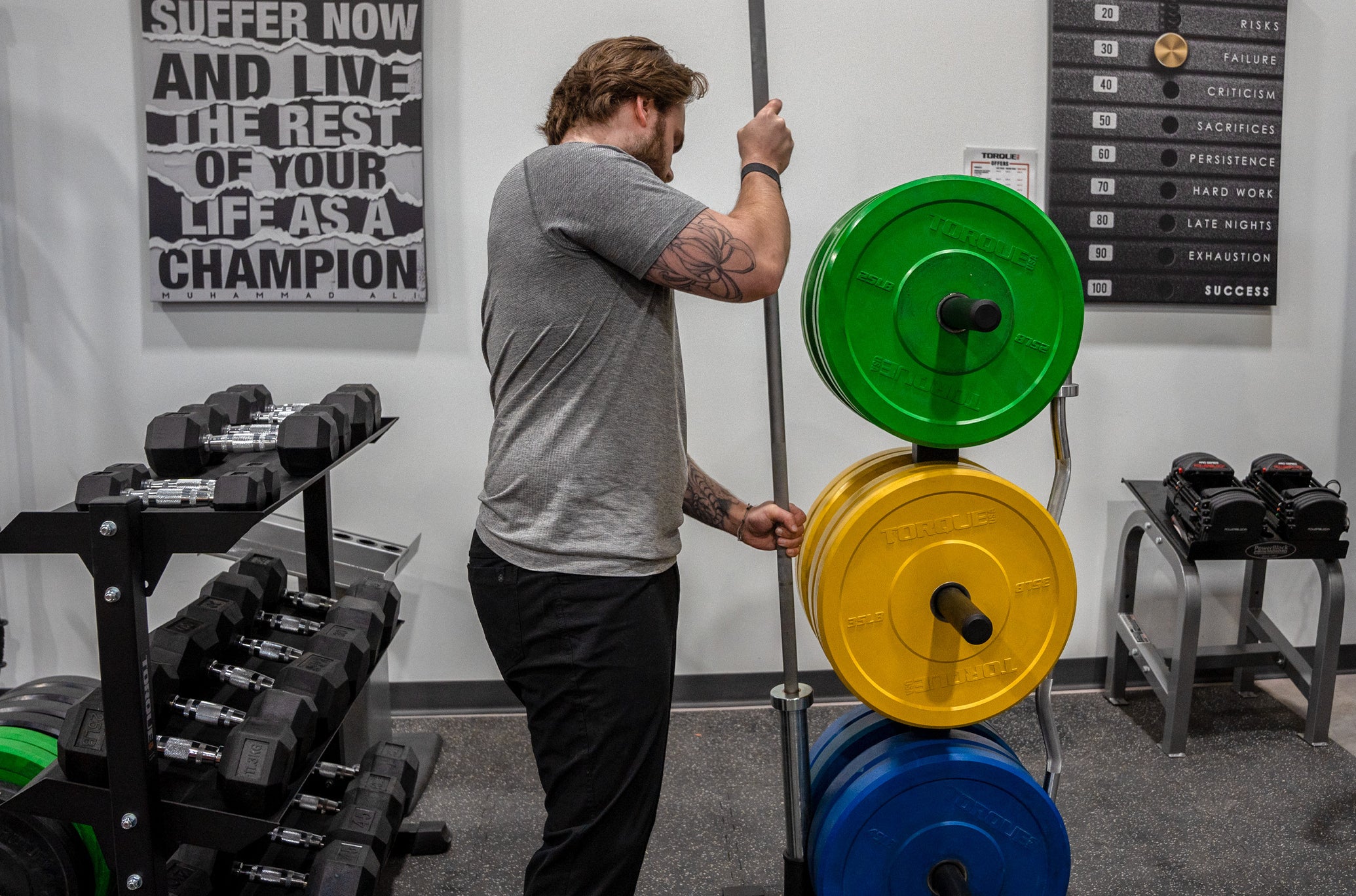 Proseries olympic plate store tree